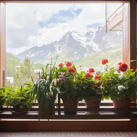 Three At The Mt Cervino S Foot *